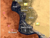 "Исламское государство" отбило у СДС два селения и прорвалось к иракской границе