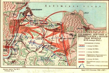 Под Волховом в 1943 году нашли испанскую голубую дивизию