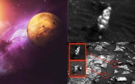 «На Марсе найдет садовый гном»: Обнародованы доказательства сходства Земли  ...