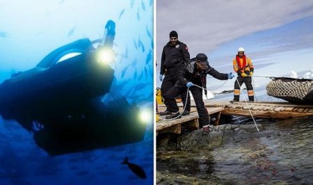 Учёные обнаружили «похожих на пришельцев» существ на глубине в 1000 метров под таящей Антарктидой