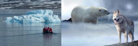 Всемирный потоп гарантирован: К концу XXI века Арктика лишится ледового покрова