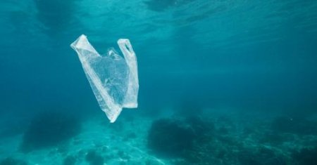 Пластиковые пакеты нашли на дне Марианской впадины