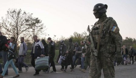 Киев и ЛДНР могут провести обмен пленными осенью