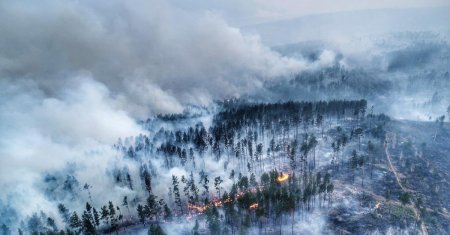 Как сжечь Сибирь и остаться не виновным: что не так в споре чиновников об экспорте российского леса
