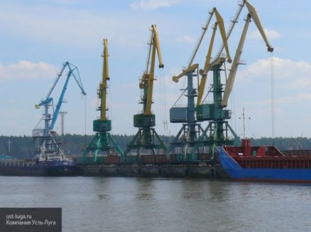 Увеличение синергии портов РФ с Усть-Лугой грозит Прибалтике новыми потерями