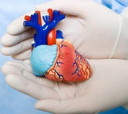 Доктор Мясников перечислил факторы риска сердечной недостаточности