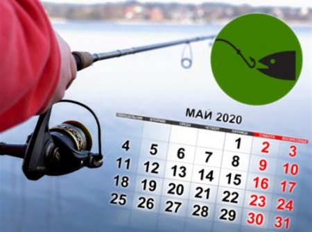 Рыбалка 2020: Какой улов ждёт рыбака в начале мая