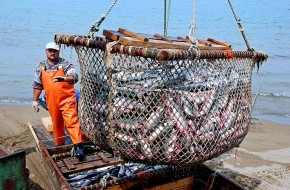 Рыболовство поставило Британию на грань настоящей войны с Евросоюзом