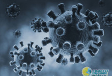 В ВОЗ подсчитали, сколько жителей Европы умрет от коронавируса осенью