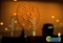 Украина «дала совет» ООН