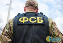 В 37 регионах России задержали 106 сторонников украинской неонацистской гру ...