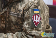 Украинские военные сдаются