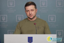 Зеленский обвинил НАТО в трусости и в дальнейшей гибели украинцев
