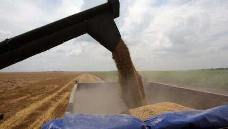 Страны G7 не собираются вводить санкции против сельхозпродукции из России