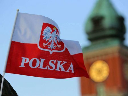 Польша сегодня существует как государство только благодаря России, — Володин