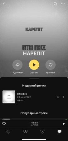 Сервис «Яндекс Музыка» предлагает россиянам матерную украинскую песню о Путине