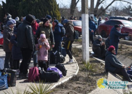 В Польше возмущены наглостью украинских беженцев