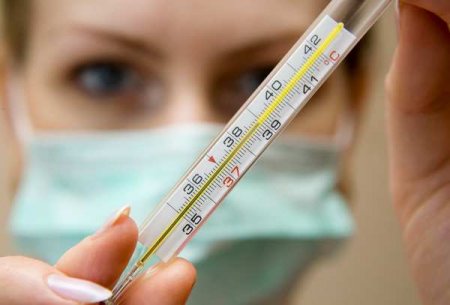Свиной грипп атакует: россиянам будут делать бесплатные тесты