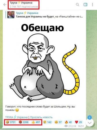 Украинские медиаресурсы: «Канцлер Шольц — крыса» (ФОТО)