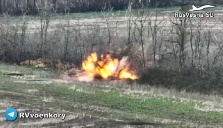 Десант уничтожает орудия НАТО в лесу у Кременной (ВИДЕО)