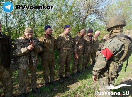 Опять провал штурма ВСУ в лесах у Кременной: в плен попали пятеро штурмовик ...