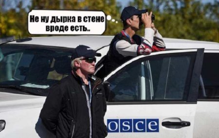Конфликт на Украине должен быть завершён, — председатель ОБСЕ