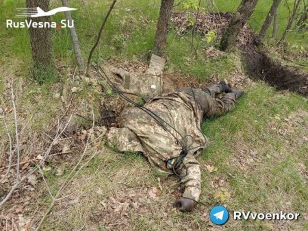 Район Новосёловского завален трупами «всушников» (ВИДЕО 18+)