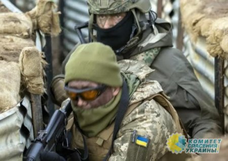 Зеленский готовит украинским солдатам новый самоубийственный «мясной штурм»
