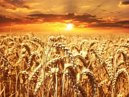 Генсек ООН прокомментировал вероятность возобновления зерновой сделки