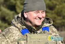 Бывший премьер Украины назвал, что мешает Зеленскому убрать Залужного