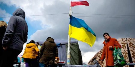 Успеть спастись от ВСУ: украинцы за границей выстаивают огромные очереди (ВИДЕО)