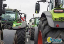 Фермеры в ЕС требуют ограничить импорт агропродукции из Украины