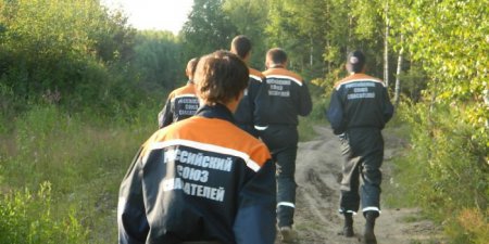 Хабаровские спасатели "отбили" мужчину у осиного роя