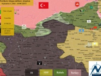 Протурецкие боевики закрыли границу Турции от "Исламского государства"