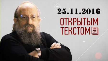 Анатолий Вассерман - Открытым текстом 25.11.2016