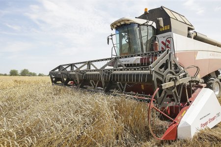 «В Ростовской области установлен всероссийский рекорд по урожаю ранних зерновых» Сельское хозяйство