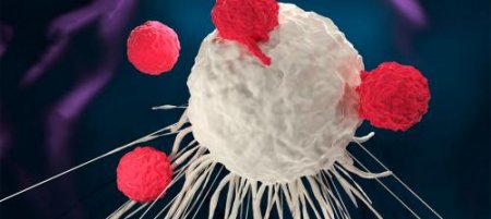 В борьбе с раком иммунотерапия оказалась гораздо эффективнее химиотерапии